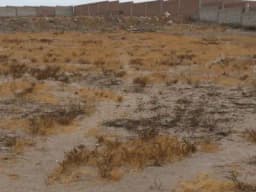 Se remata terreno en umapalca 33 dolares m2