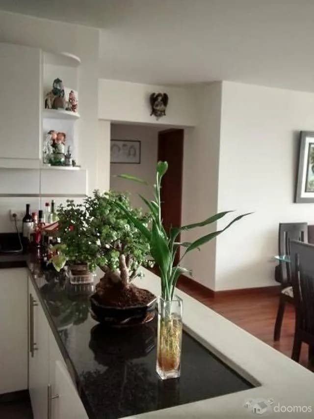 VENDO DPTO. SAN BORJA SUR — foto 3