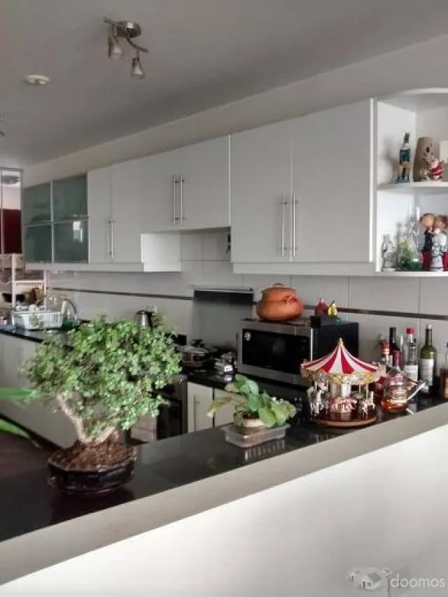 VENDO DPTO. SAN BORJA SUR — foto 4