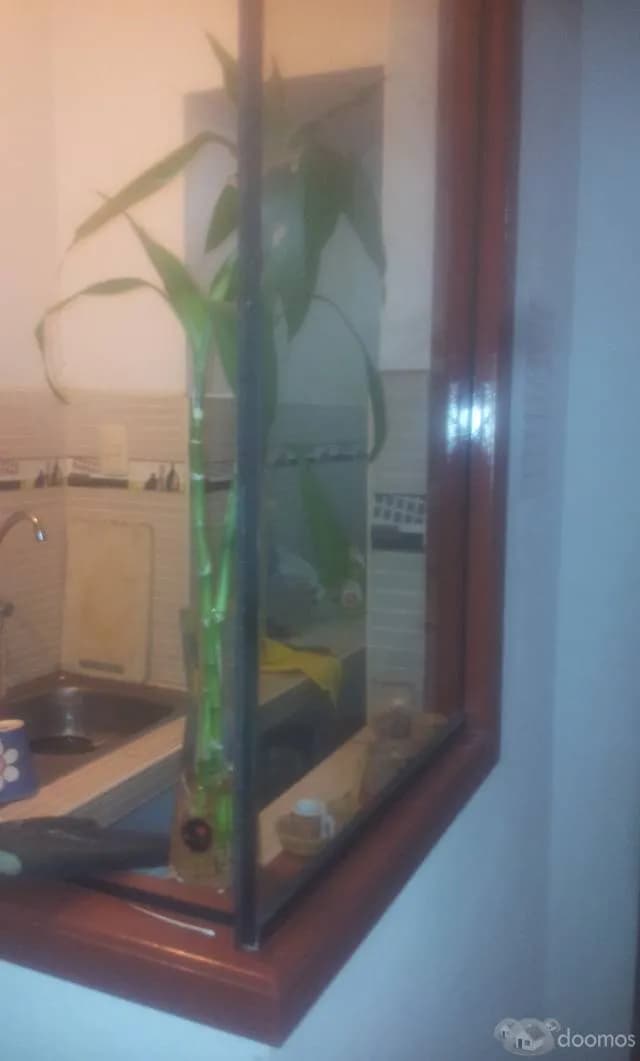 VENDA CASA — foto 7