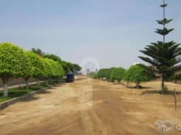 VENTA TERRENOS EN LA PLANICIE DEL MIRADOR CHILCA