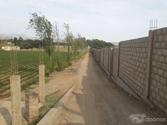 Venta de Terreno en Quebrada Verde Pachacamac — foto 2