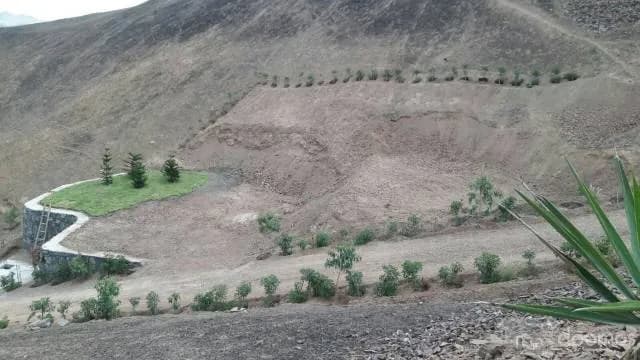 LOTES EN VENTA - PACHACAMAC — foto 1