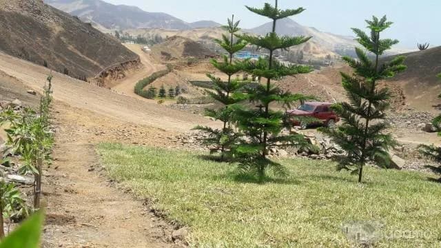 TERRENOS PACHACAMAC — foto 1