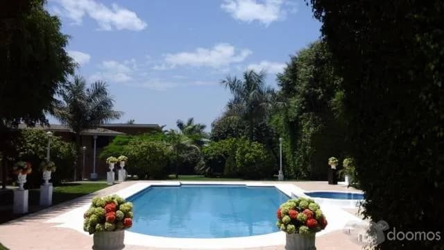 MATRIMONIO EN EL SUR — foto 3