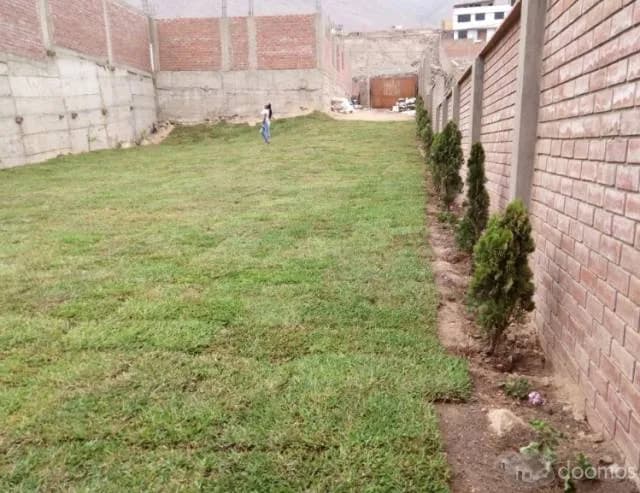 ULTIMOS LOTES 120M2 - LA MOLINA — foto 2