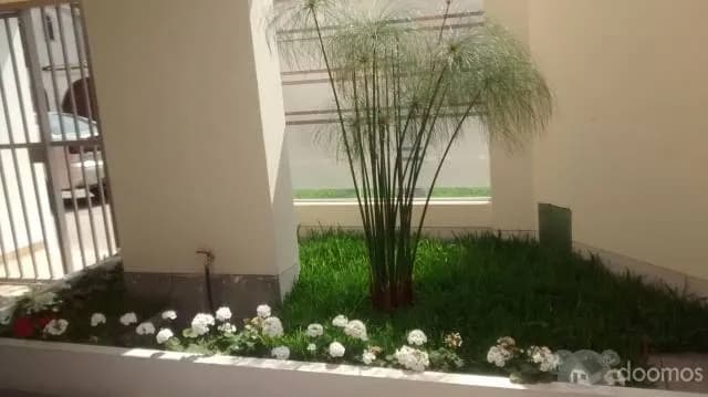PROYECTO RESIDENCIAL OLAYA — foto 6