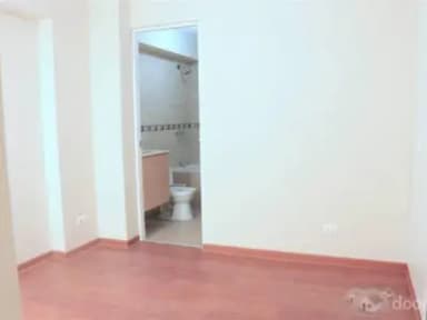 Miniatura 10