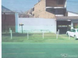 VENDO POR VIAJE 280 M2 EN CINEGUILLA