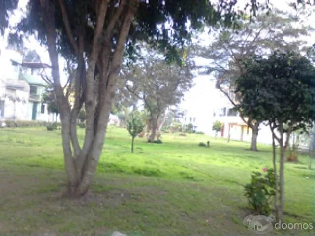 ALQUILO CASA PARA EXTRANJEROS O EMPRESARIOS — foto 4