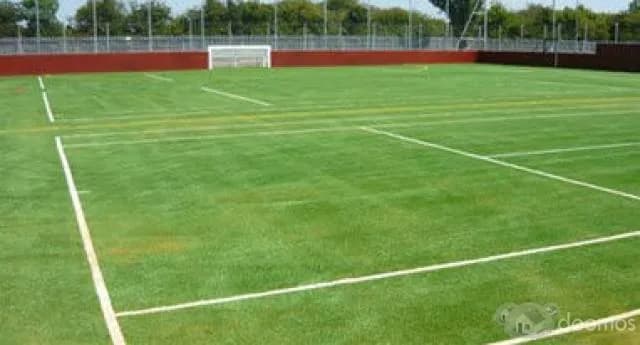 Grass Artificial Futbol e Infantil Olympic — foto 1