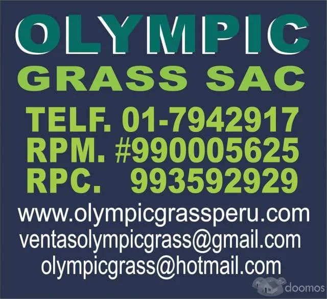Grass Artificial Futbol e Infantil Olympic — foto 4