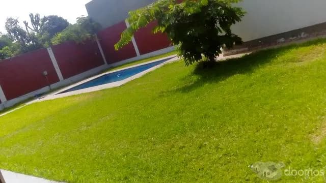 LOCAL para FIESTAS INFANTILES — foto 5