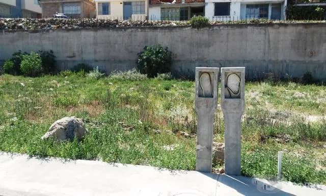 602 CAYMA TERRENOS LA TOMILLA — foto 3