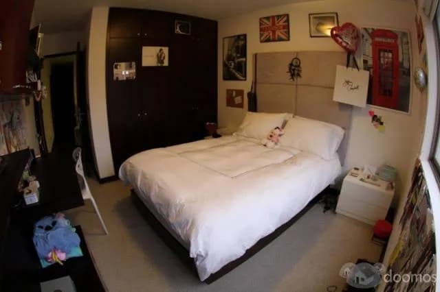 ALQUILO EXCELENTE DEPARTAMENTO - SIN INTERMEDIARIOS — foto 7