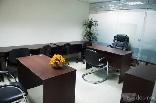 OFICINAS FÍSICAS Y VIRTUALES — foto 4