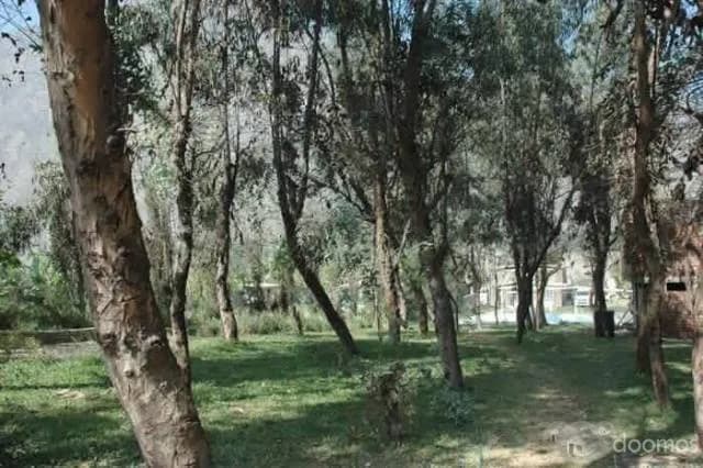 SE VENDE CASA DE CAMPO 3000 mt2 — foto 7