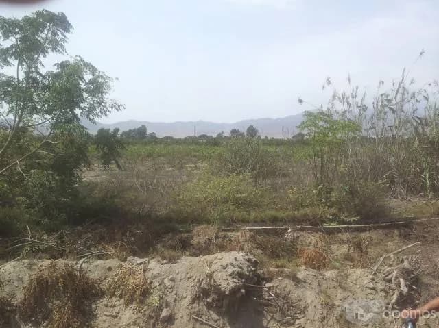 VENTA TERRENO DE CAMPO ASIA — foto 1