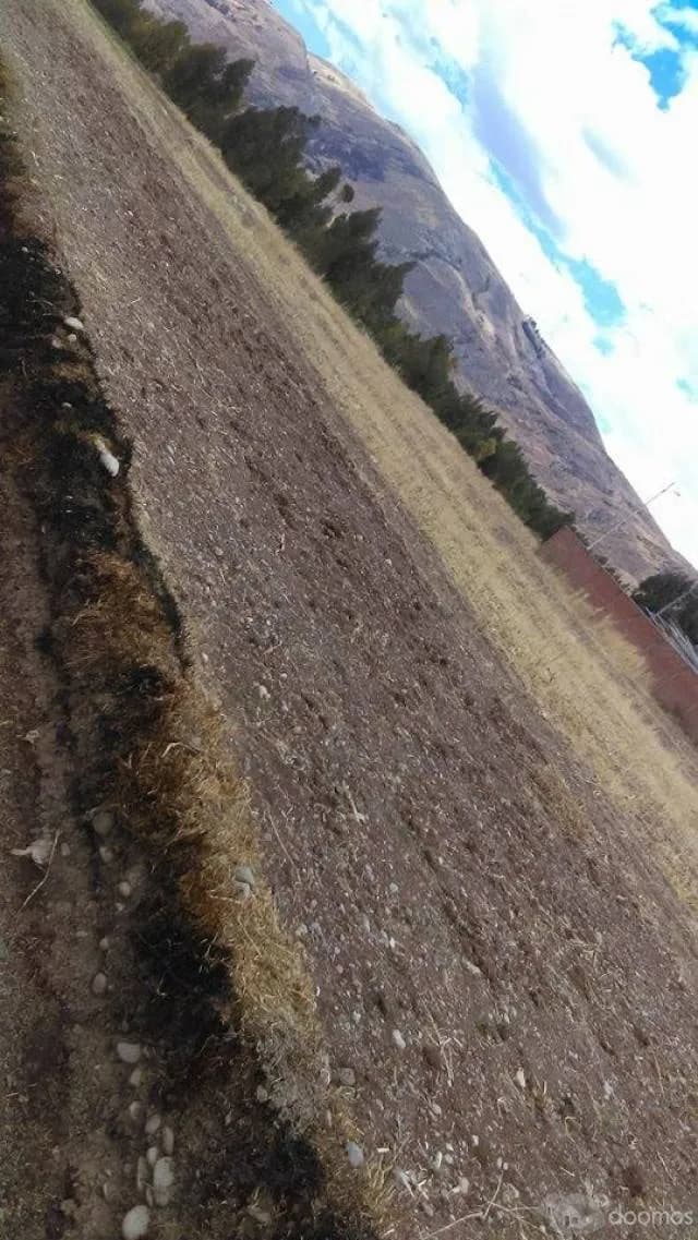 terreno temporal pillcopampa — foto 1