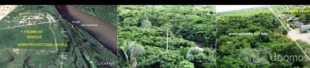 Amazon Eva -Proyecto Selva — foto 1