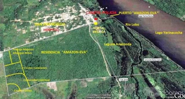 Amazon Eva -Proyecto Selva — foto 2