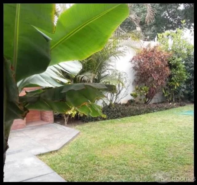 ALQUILO MAGNÍFICA CASA PARA OFICINAS 400 m2 EN SURCO $3200 — foto 3