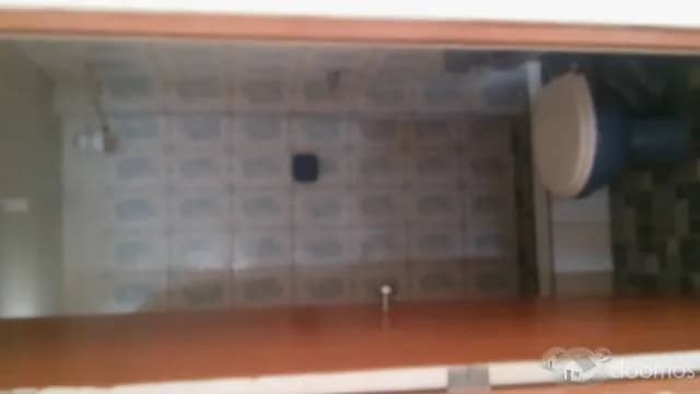Se alquila departamento - Los Olivos — foto 4
