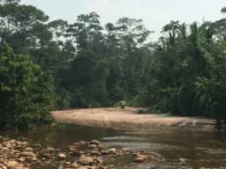 CODO DE POZUZO RIO ZUNGARO CHACRA 230 Ha, PREDIO PARA GANADO CACAO MADERA TROPICAL