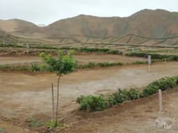VENTA TERRENO CONDOMINIO PRADERA DE ASIA 406M² $80,000 KM. 93 PAN. SUR