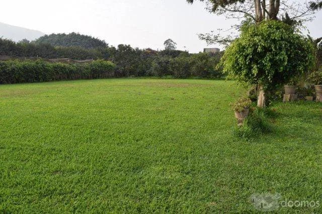 Alquiler de jardines para eventos en Pachacamac — foto 1