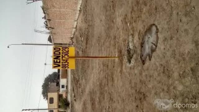 VENDO TERRENO URB. ENSENADA DE CARABAYLLO — foto 3