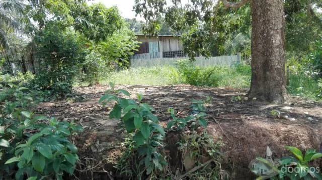 VENTA DE TERRENO EN PUCALLPA — foto 4