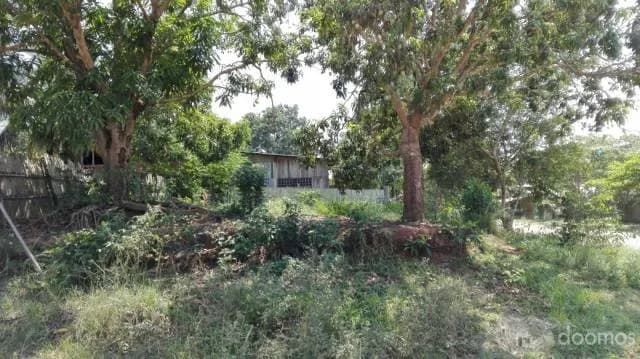 VENTA DE TERRENO EN PUCALLPA — foto 6