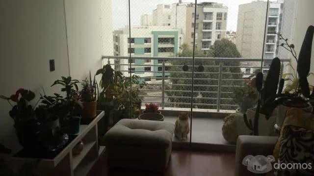 VENTA DPTO NUEVO FLAT SAN BORJA NORTE — foto 7
