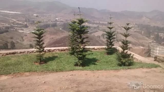 LOTES PACHACAMAC - TERRAZAS DE AMANCAES — foto 4