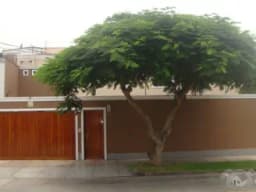 Venta de casa en Manuel de Freyre, Miraflores