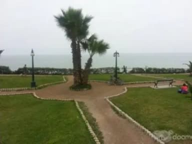 Miniatura 9