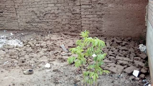 Terreno en Urb. Santa Rosa - Cusco — foto 6