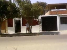 Alquilo Casa en Talara