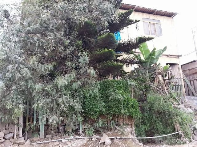 Venta de casa en Pachacutec - Ventanilla — foto 3