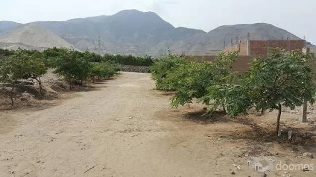 VENDO TERRENO CIENGUILLA PACHACAMAC — foto 1