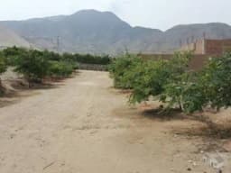 VENDO TERRENO CIENGUILLA PACHACAMAC