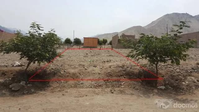 VENDO TERRENO CIENGUILLA PACHACAMAC — foto 2