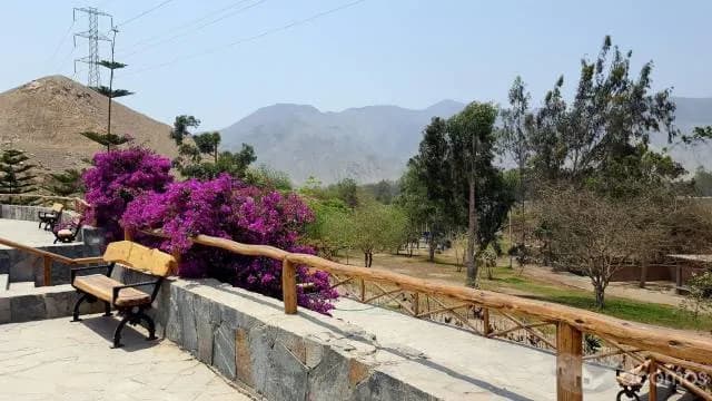 VENTA DE TERRENOS EN CIENEGUILLA - CASA HUERTA — foto 1
