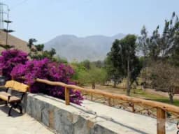 VENTA DE TERRENOS EN CIENEGUILLA - CASA HUERTA