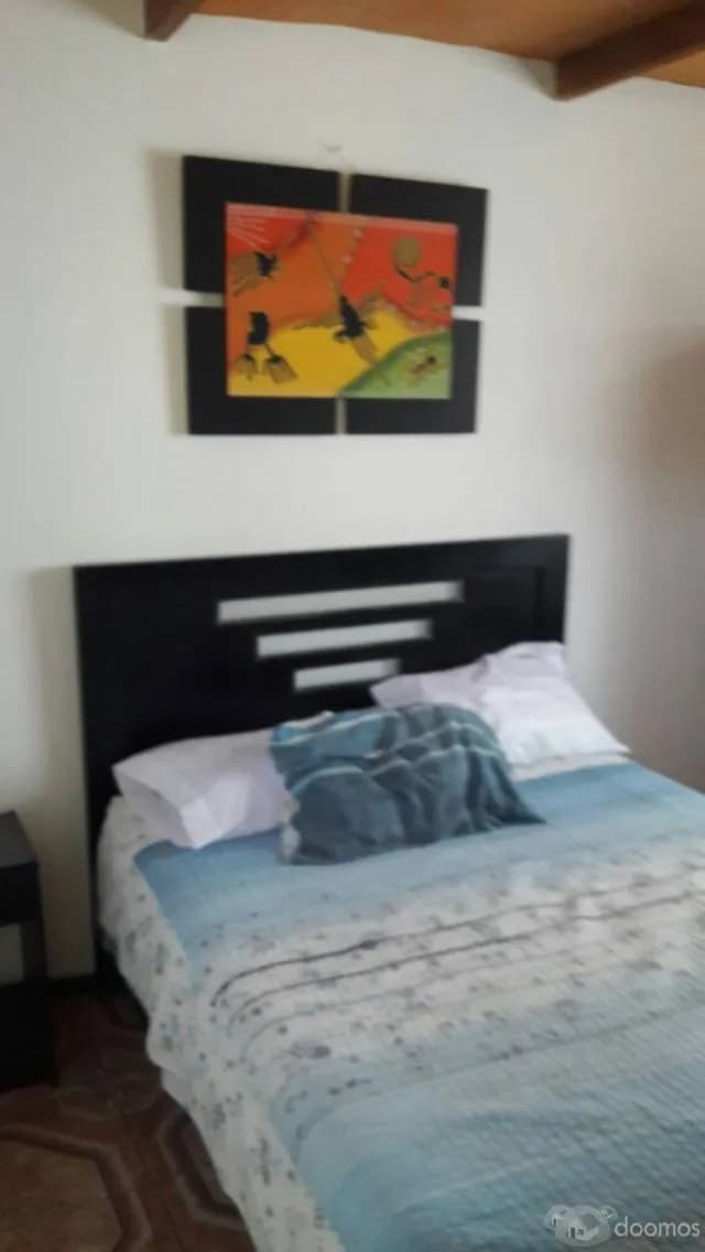 Alquilo minidepartamento amoblado un dormitorio — foto 1