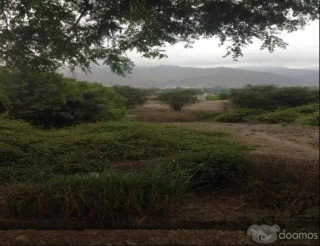 VENTA DE TERRENO EN PACHACAMAC — foto 2