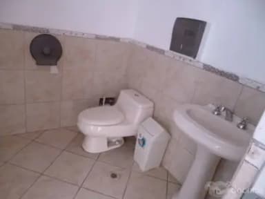 Miniatura 10