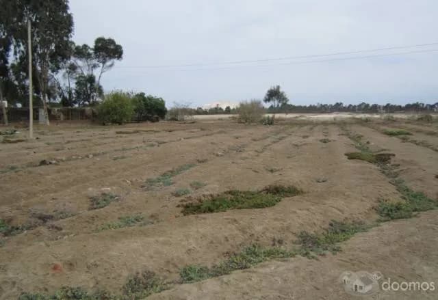 VENDO LOTE CERCA AL BOULEVARD DE ASIA — foto 1