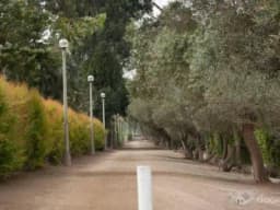 VENDO LOTE EN CONDOMINIO DE PANAMERICANA SUR